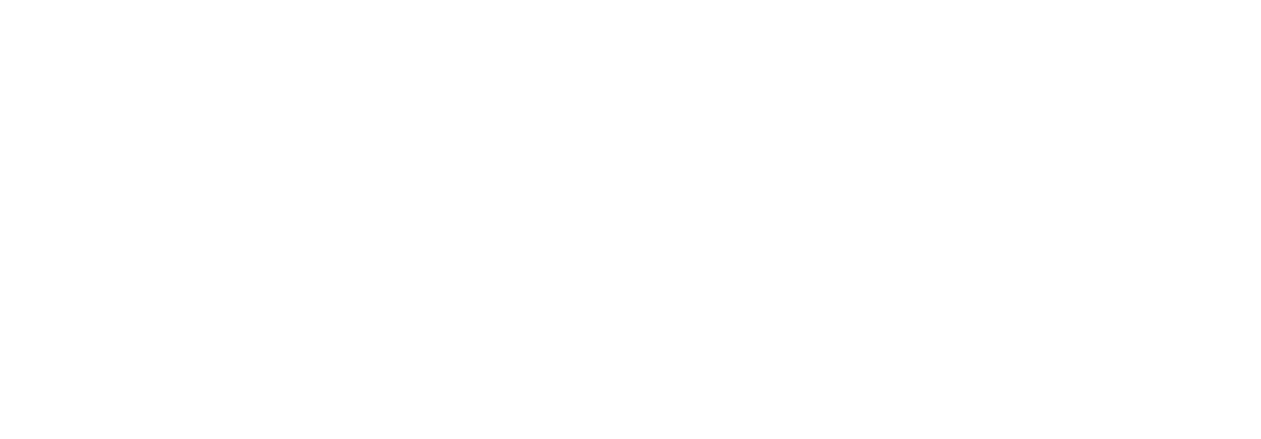 The Shelton Group